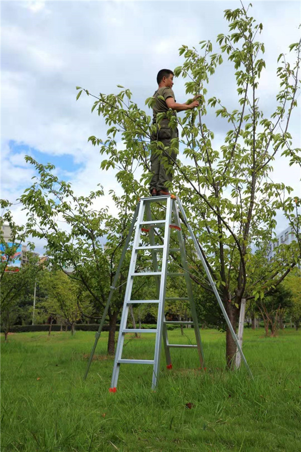 家用茄子视频污污下载厂家.jpg